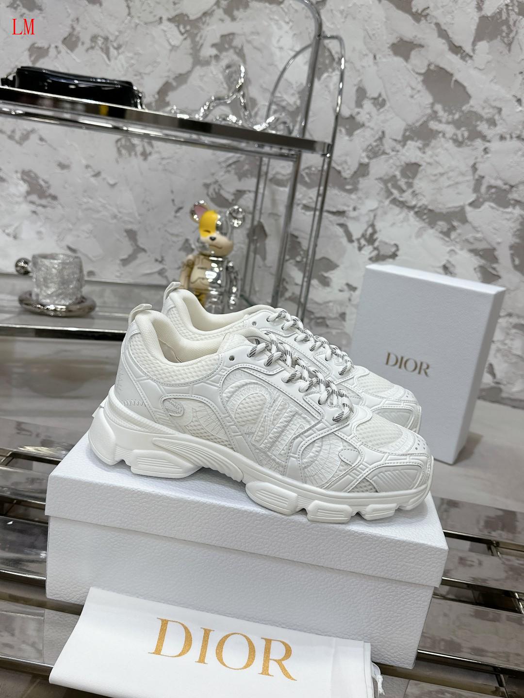 Dior Chrono Sneaker "Mesh and White Leather"