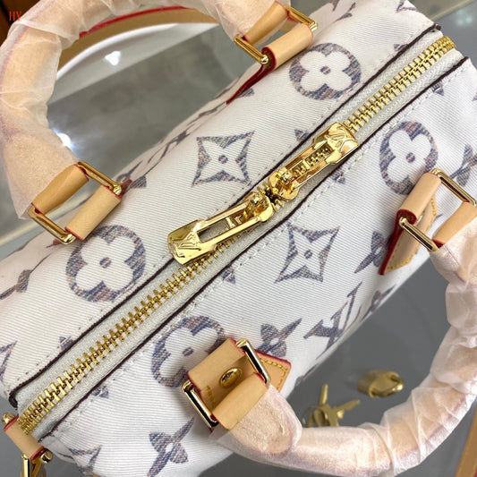 Louis Vuitton "Speedy Multicolour Beige"